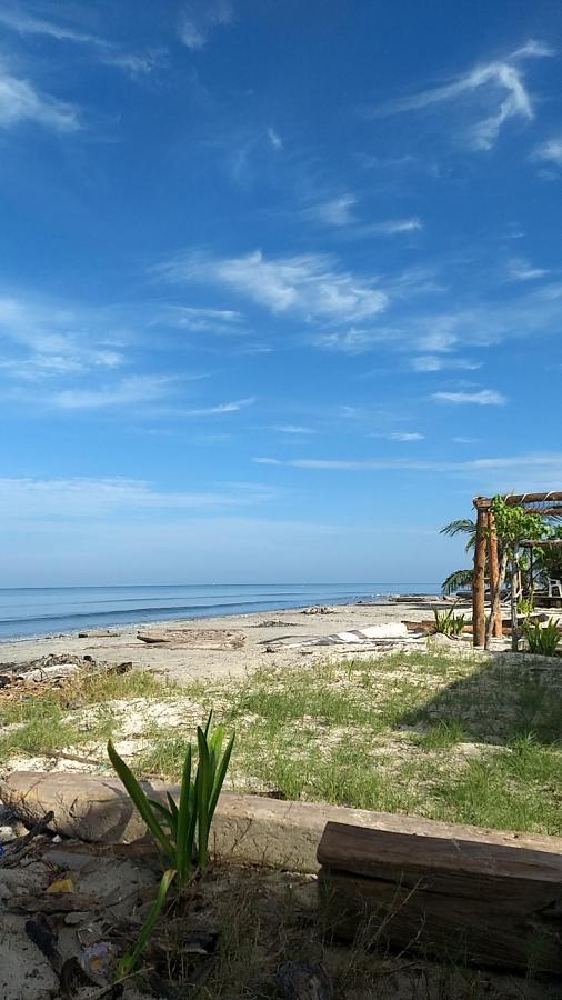 Urantia Beach Hostel & Camping San Onofre Екстер'єр фото