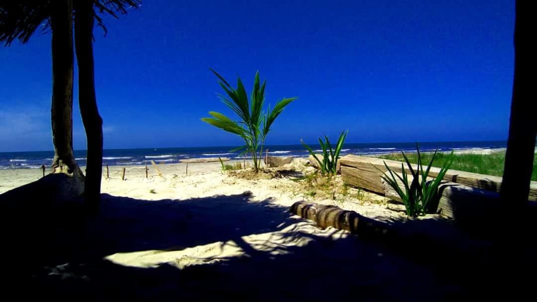 Urantia Beach Hostel & Camping San Onofre Екстер'єр фото